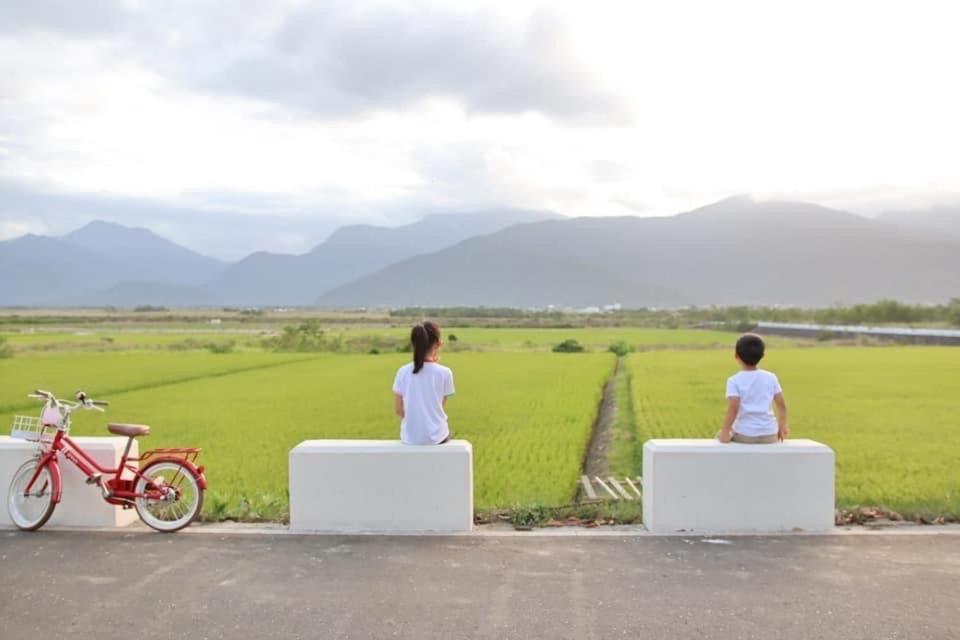 Pu Shi Homestay Yuli Eksteriør billede