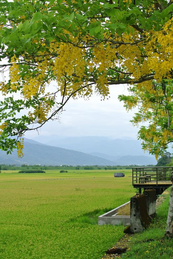 Pu Shi Homestay Yuli Eksteriør billede